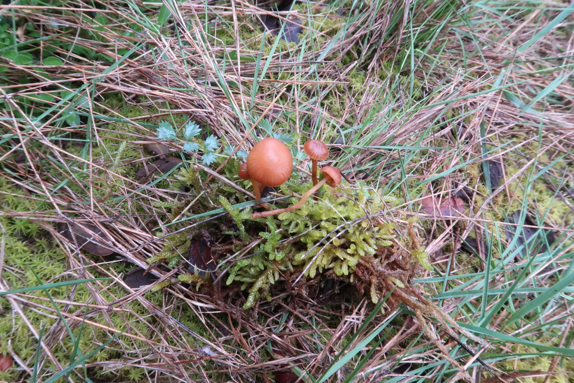 1 -